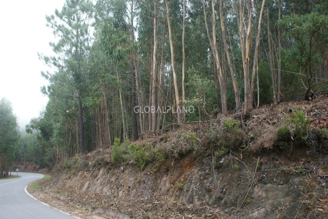 Terreno para Venda em Marmelete Foto 9
