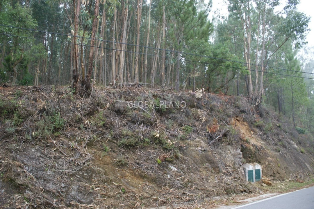 Terreno para Venda em Marmelete Foto 2