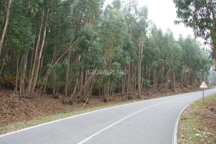 Terreno para Venda em Marmelete Foto 5