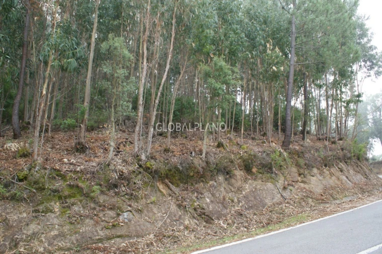 Terreno para Venda em Marmelete Foto 7