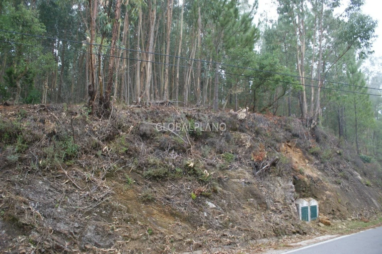 Terreno para Venda em Marmelete Foto 2