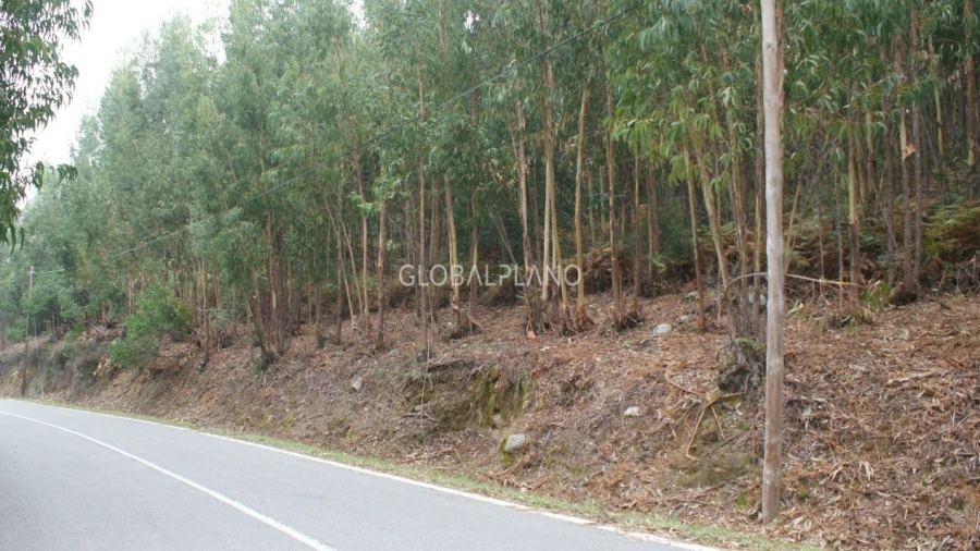 Terreno para Venda em Marmelete