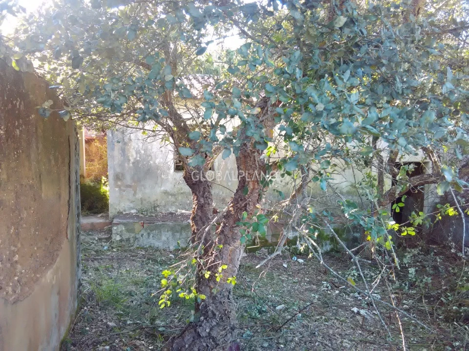 Terreno para Venda em Aljezur Foto 16