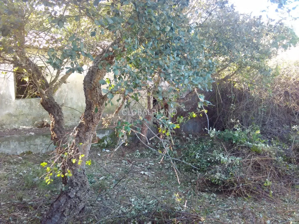 Terreno para Venda em Aljezur Foto 17