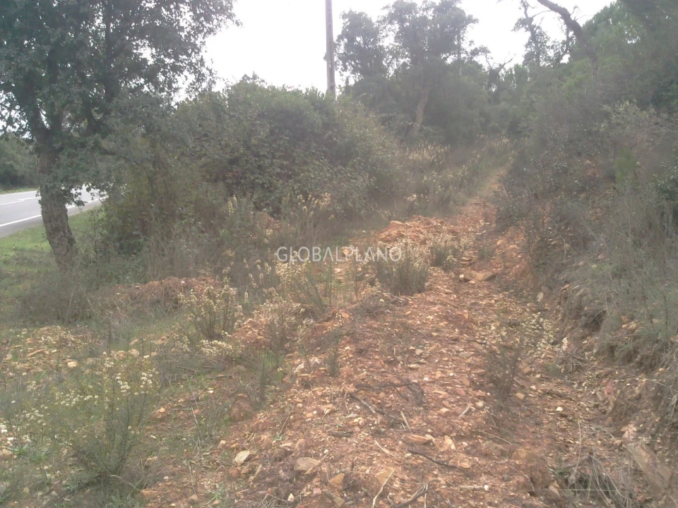 Terreno para Venda em Aljezur Foto 12