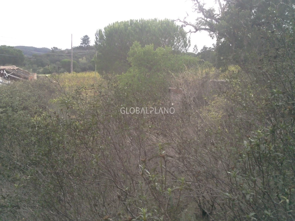 Terreno para Venda em Aljezur Foto 7