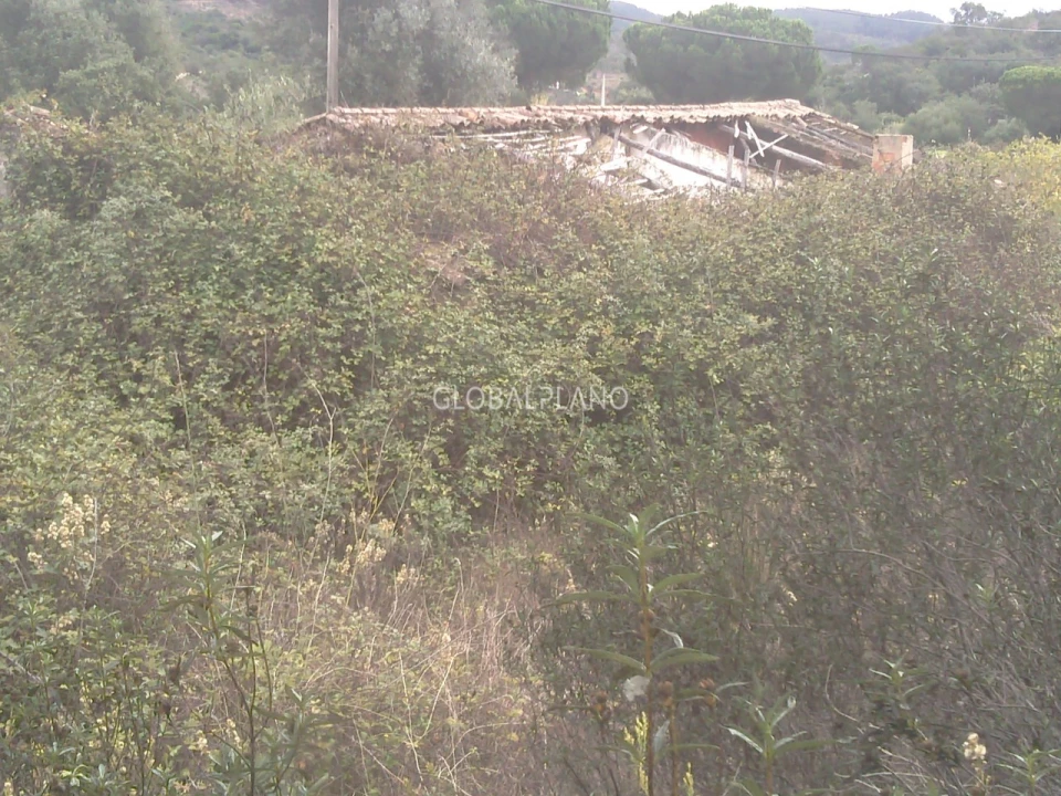 Terreno para Venda em Aljezur Foto 8