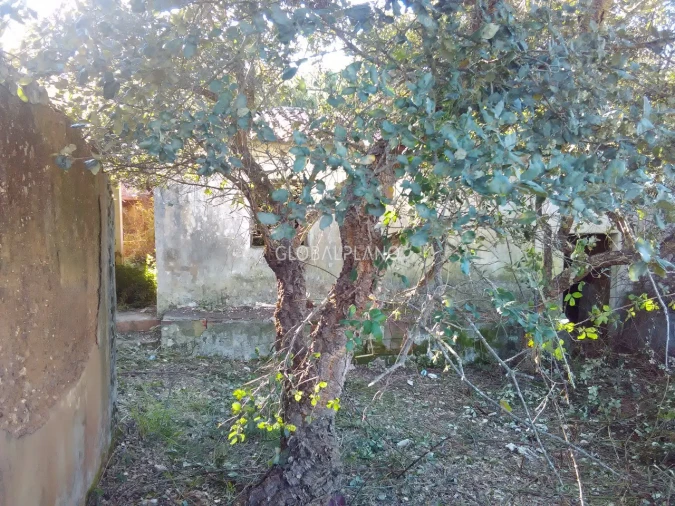 Terreno para Venda em Aljezur Foto 16