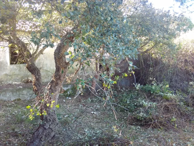 Terreno para Venda em Aljezur Foto 17