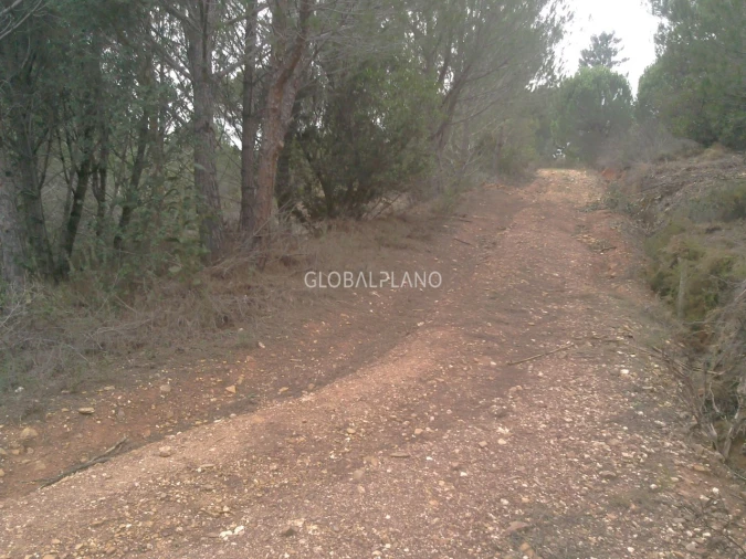 Terreno para Venda em Aljezur Foto 11