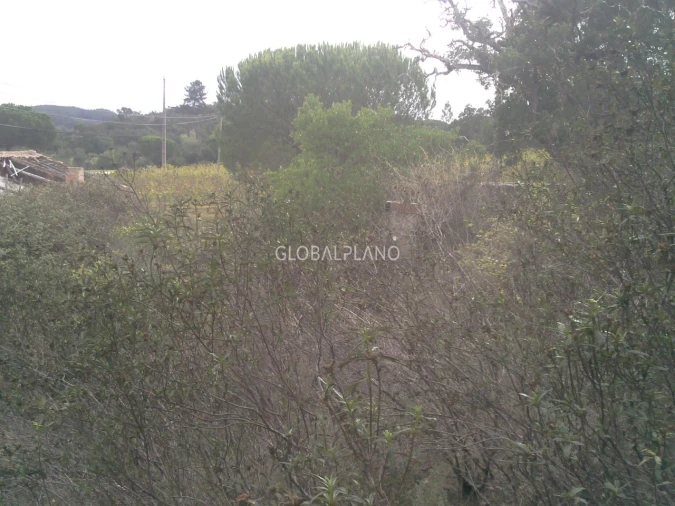 Terreno para Venda em Aljezur Foto 7