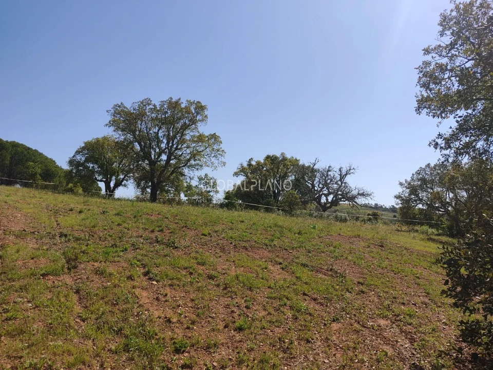 Terreno para Venda em Bensafrim e Barão de São João Foto 4