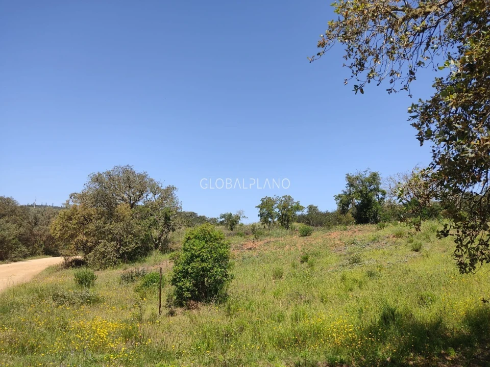 Terreno para Venda em Bensafrim e Barão de São João Foto 6