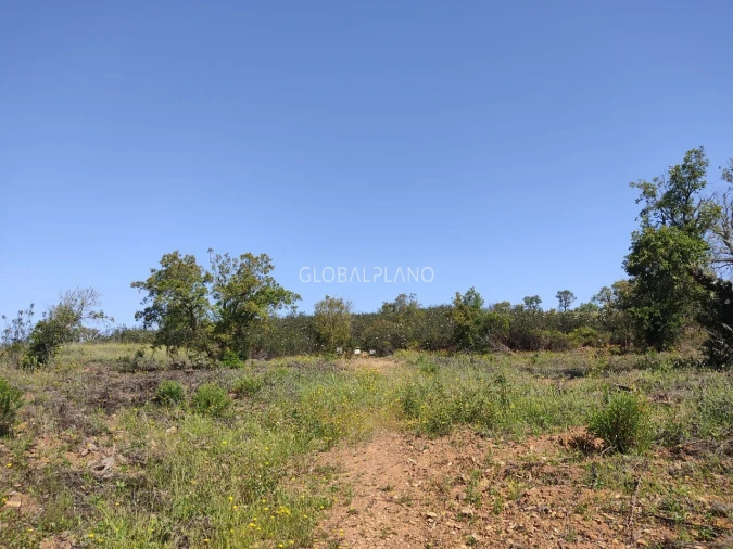 Terreno para Venda em Bensafrim e Barão de São João Foto 3