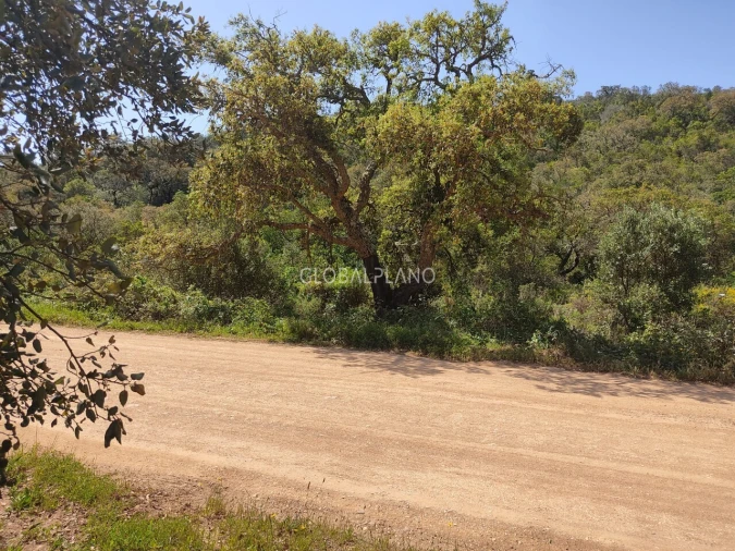 Terreno para Venda em Bensafrim e Barão de São João Foto 2