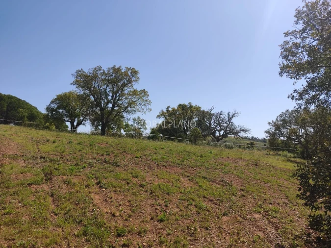 Terreno para Venda em Bensafrim e Barão de São João Foto 4