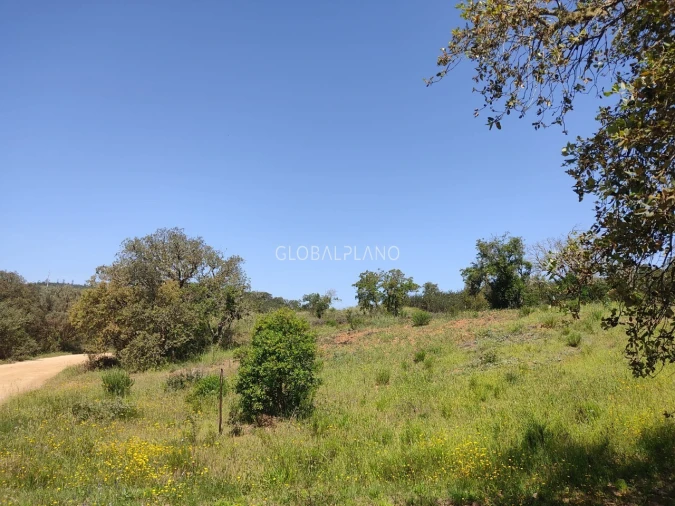 Terreno para Venda em Bensafrim e Barão de São João Foto 6