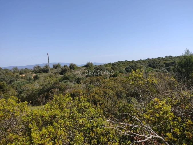 Terreno para Venda em Odiaxere Foto 3