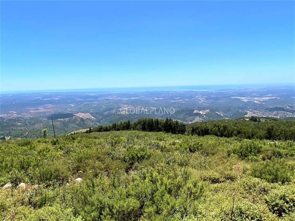 Terreno para Venda em Monchique Foto 3