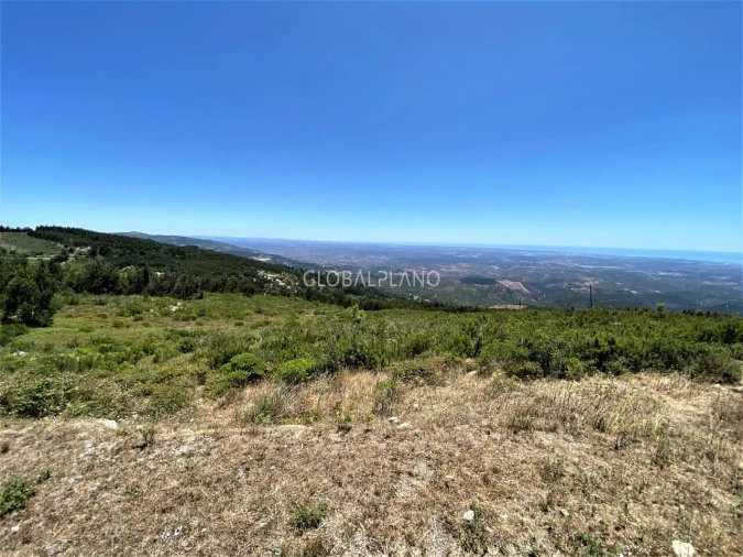 Terreno para Venda em Monchique