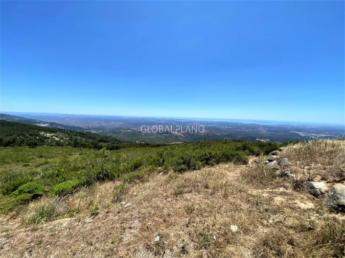 Terreno para Venda em Monchique Foto 2