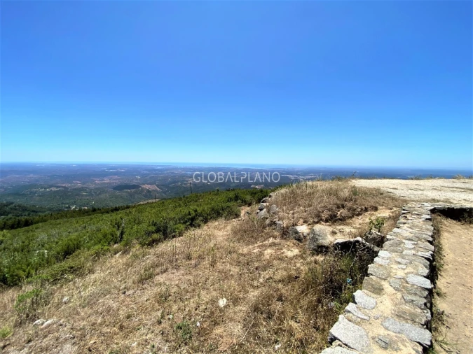 Terreno para Venda em Monchique Foto 4