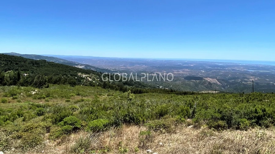 Terreno para Venda em Monchique