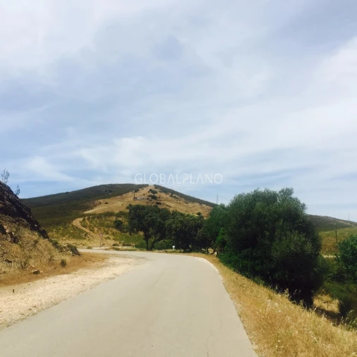 Terreno para Venda em Mexilhoeira Grande Foto 3