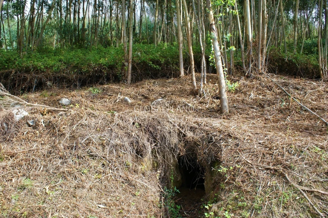 Terreno para Venda em Marmelete Foto 4