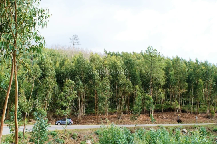 Terreno para Venda em Marmelete