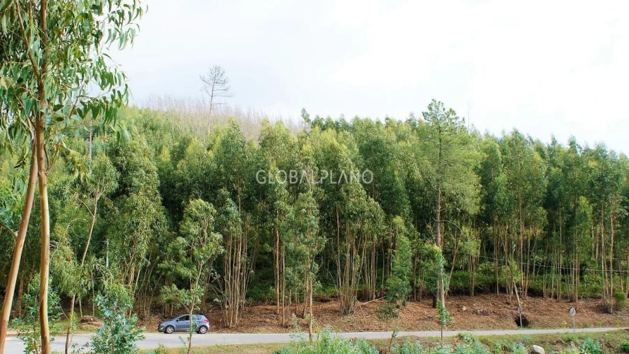 Terreno para Venda em Marmelete