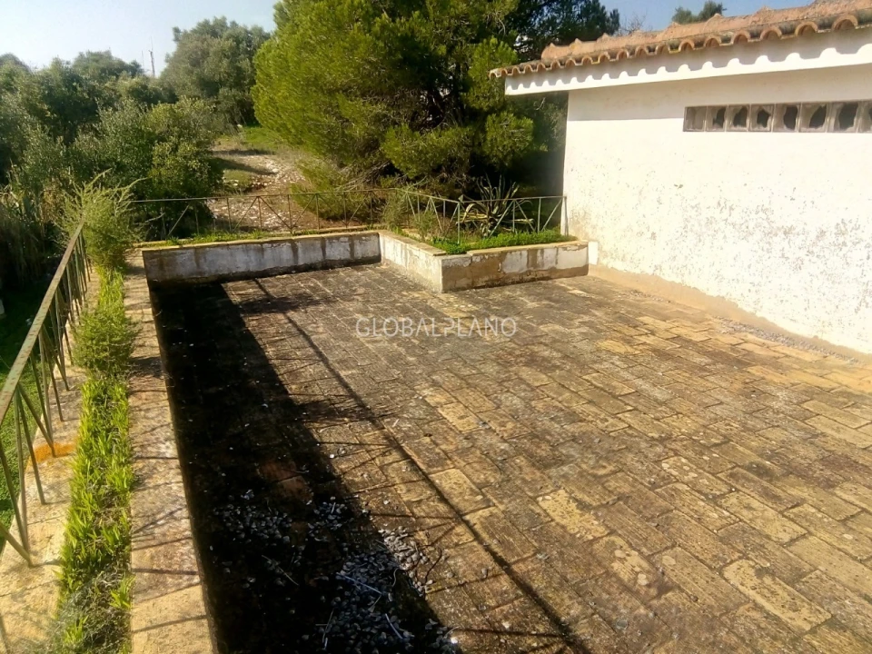 Terreno para Venda em Mexilhoeira Grande Foto 10