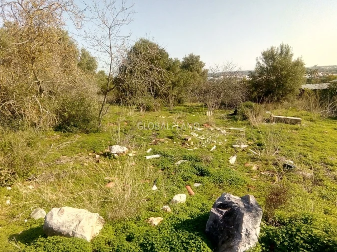 Terreno para Venda em Mexilhoeira Grande Foto 1