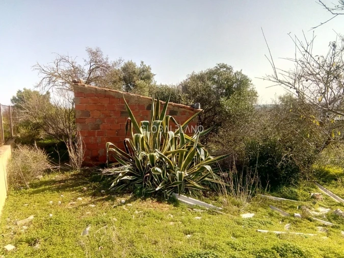 Terreno para Venda em Mexilhoeira Grande Foto 2