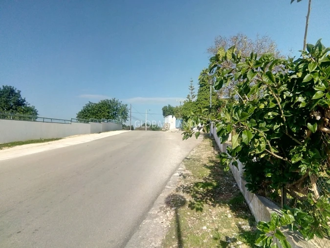 Terreno para Venda em Mexilhoeira Grande Foto 3