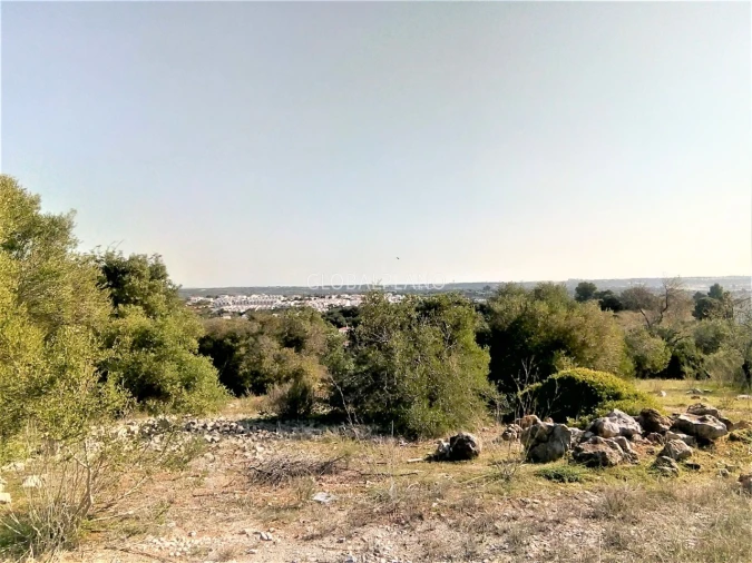 Terreno para Venda em Mexilhoeira Grande Foto 5