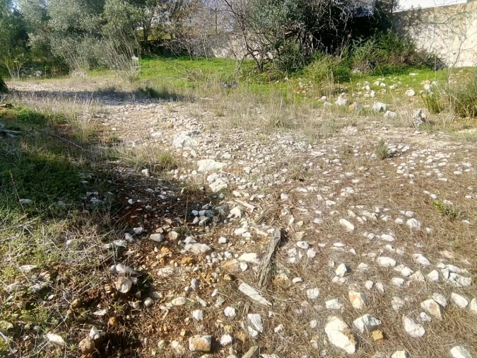 Terreno para Venda em Mexilhoeira Grande Foto 18