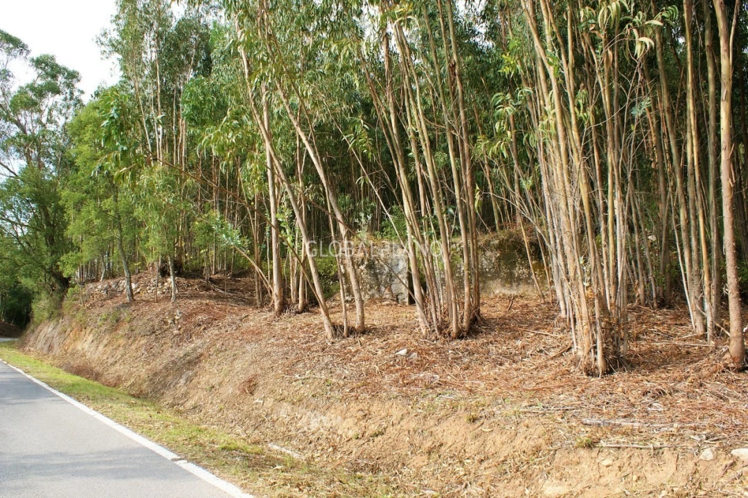 Terreno para Venda em Marmelete Foto 9