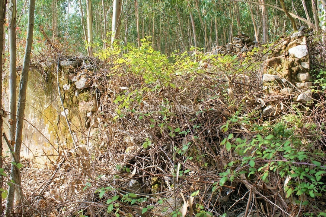 Terreno para Venda em Marmelete Foto 2