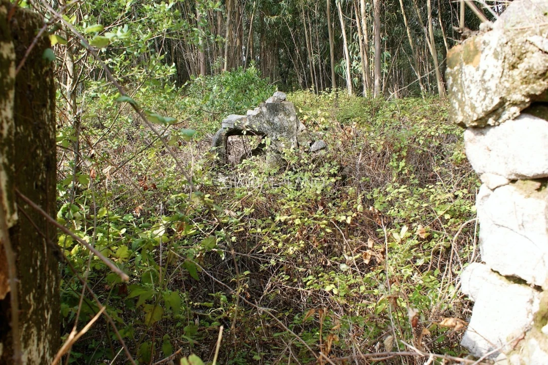 Terreno para Venda em Marmelete Foto 5