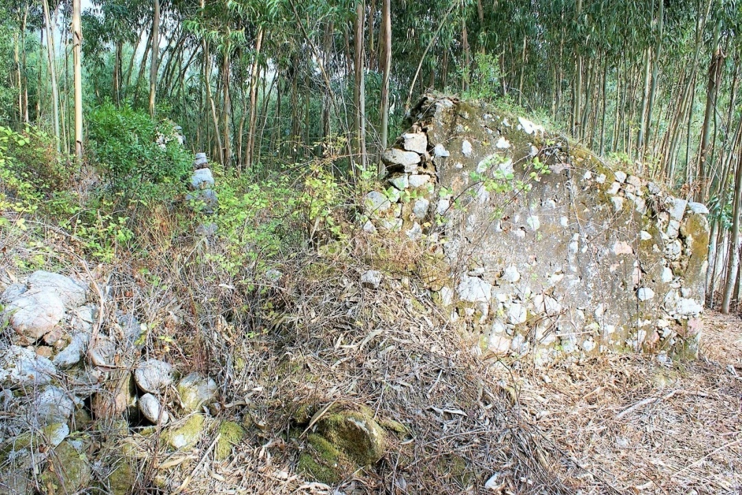 Terreno para Venda em Marmelete Foto 4