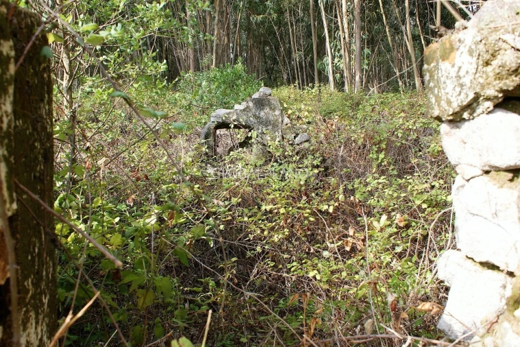Terreno para Venda em Marmelete Foto 5