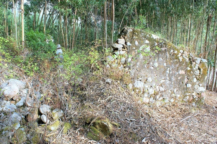 Terreno para Venda em Marmelete Foto 4