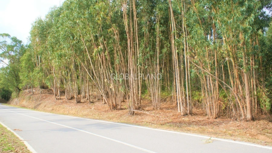 Terreno para Venda em Marmelete