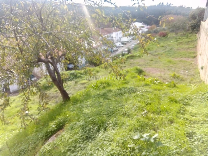 Terreno para Venda em Monchique Foto 2