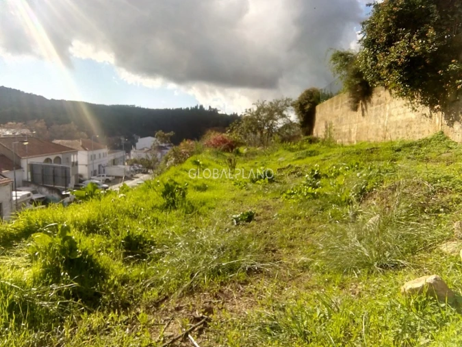 Terreno para Venda em Monchique Foto 4