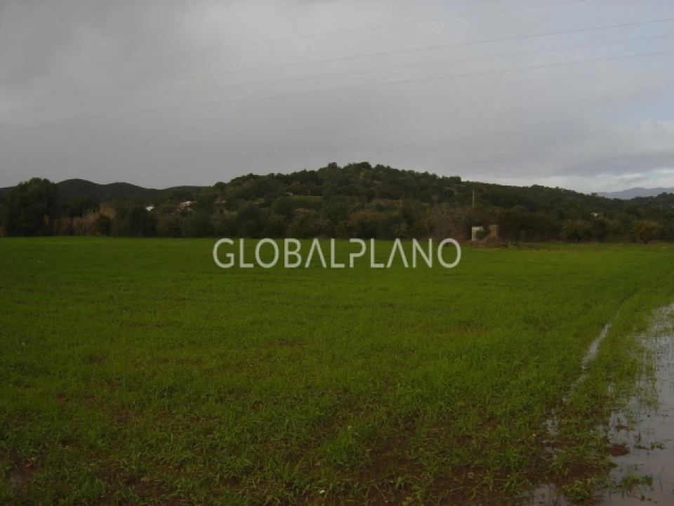 Terreno para Venda em Mexilhoeira Grande Foto 2