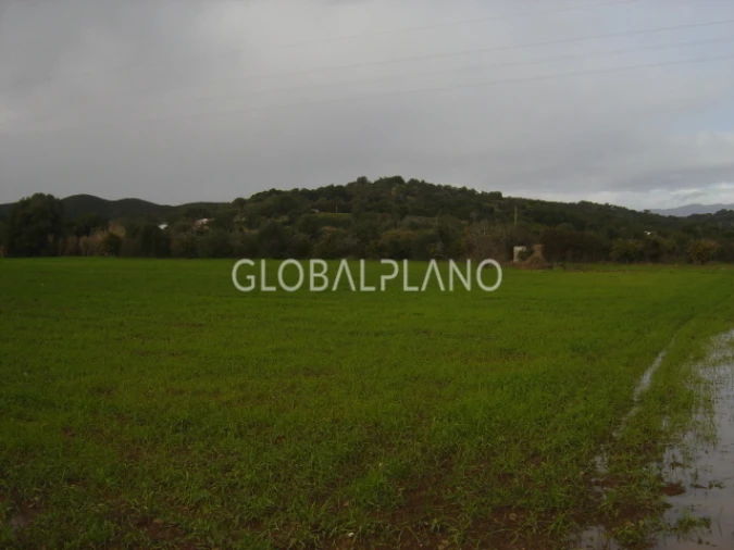 Terreno para Venda em Mexilhoeira Grande Foto 2