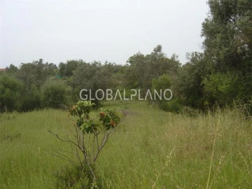 Terreno para Venda em Silves