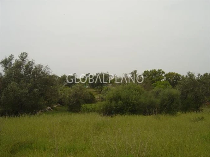 Terreno para Venda em Silves Foto 2